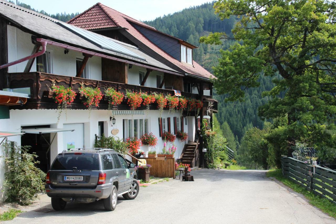 Haus Mauken - Appartments Mit Panoramablick Мурау Екстериор снимка